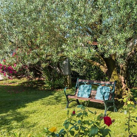 B&B Carmela Умаг Экстерьер фото